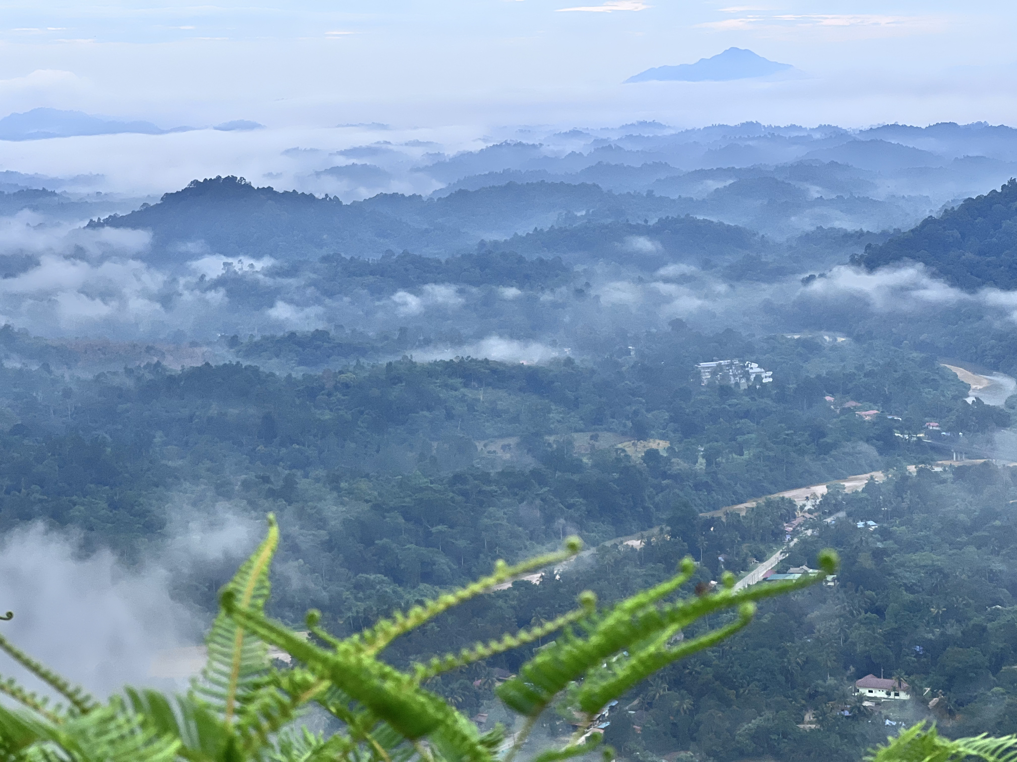 bukit panorama